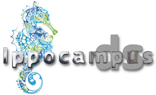 Ippocampus DS-